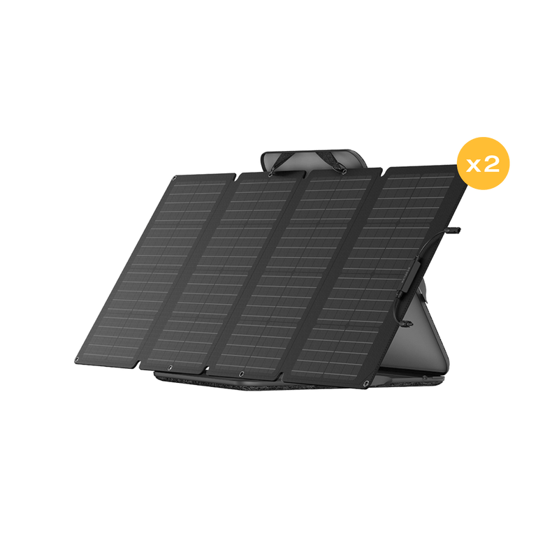 Load image into Gallery viewer, EcoFlow US Solar Panels 2 EcoFlow 160W Portable Solar Panel Bundle * 2 - Flash Sale
