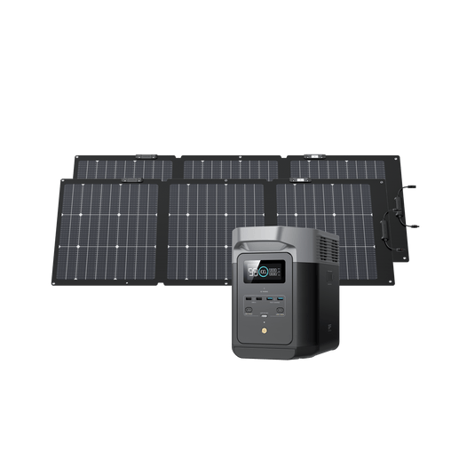 EcoFlow US Bundle 2*160W + DELTA 2 EcoFlow DELTA 2 + 160W Portable Solar Panel