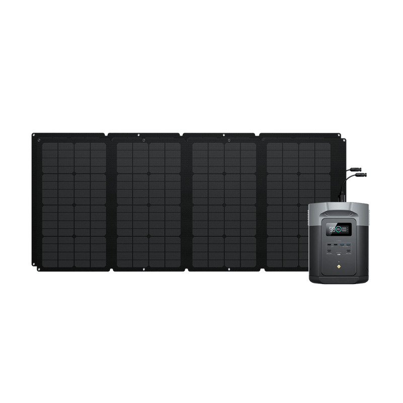 Load image into Gallery viewer, EcoFlow US EcoFlow DELTA 2 Max + 160W Portable Solar Panel

