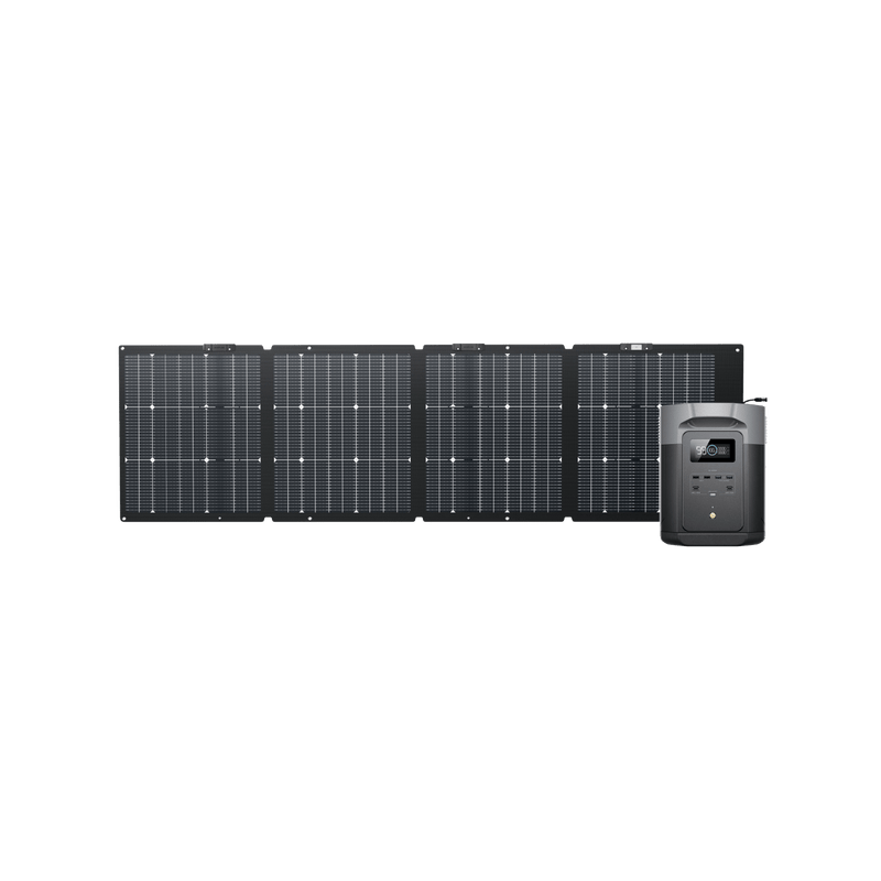 Load image into Gallery viewer, EcoFlow US 1*220W + DELTA 2 Max EcoFlow DELTA 2 Max Solar Generator (PV220W)
