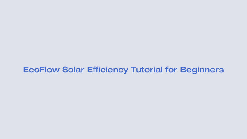 Load and play video in Gallery viewer, EcoFlow NextGen 220W Bifacial Portable Solar Panel
