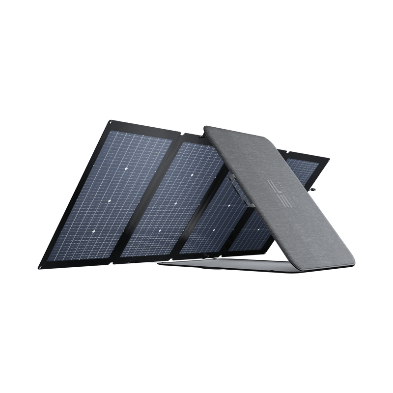 Load image into Gallery viewer, EcoFlow EcoFlow 220W Bifacial Portable Solar Panel
