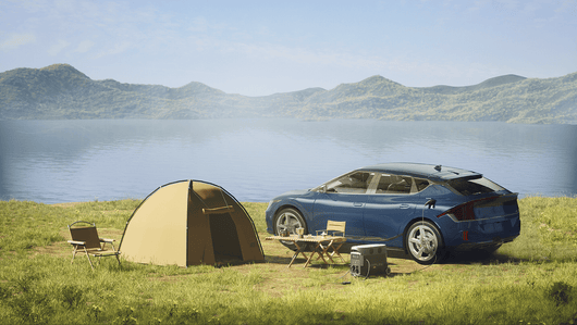 EcoFlow UK Portable RV & EV Power with DELTA Pro: DELTA Pro + Grounding Adapter