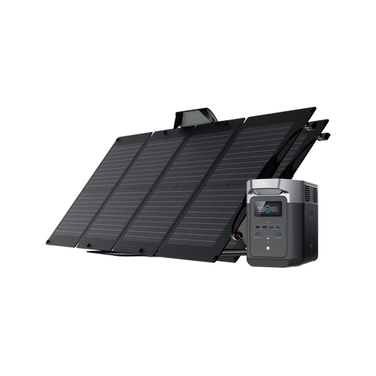 EcoFlow US Bundle 2*110W + DELTA 2 EcoFlow DELTA 2 + 110W Portable Solar Panel