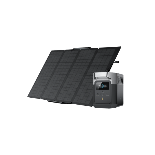 EcoFlow US Bundle 1*160W + DELTA mini EcoFlow DELTA mini + 160W Portable Solar Panel